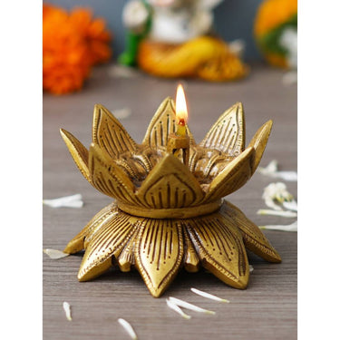 https://cdn.shopify.com/s/files/1/1857/6931/products/W0KWNVcFct.jpg?v=1706182924